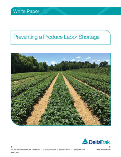Preventing a Produce Labor Shortage